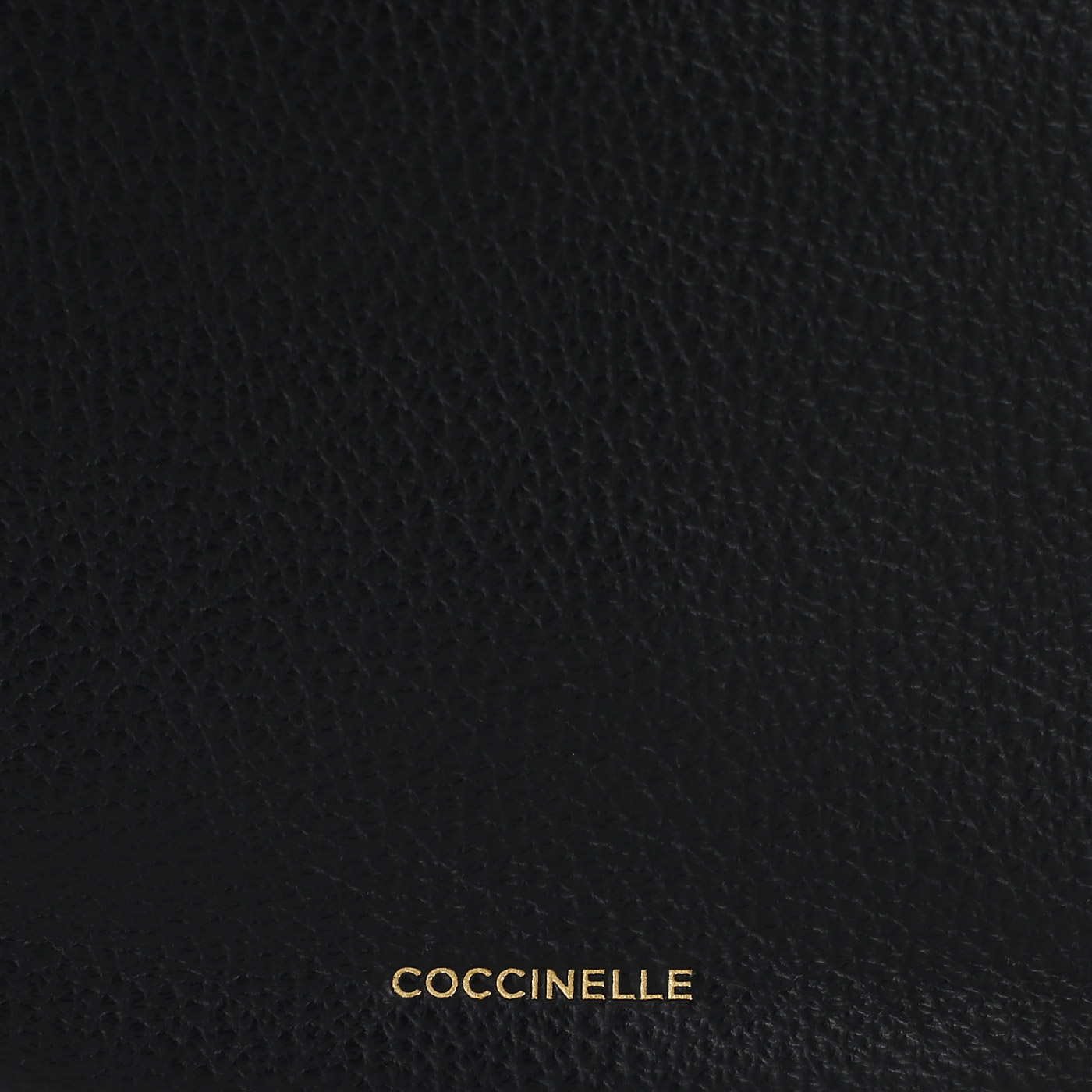 Кожаная сумка Coccinelle CoccinelleSunnie